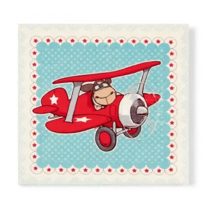 Tela em Peluche - Retrato Jolly Dean em Avião - NICI