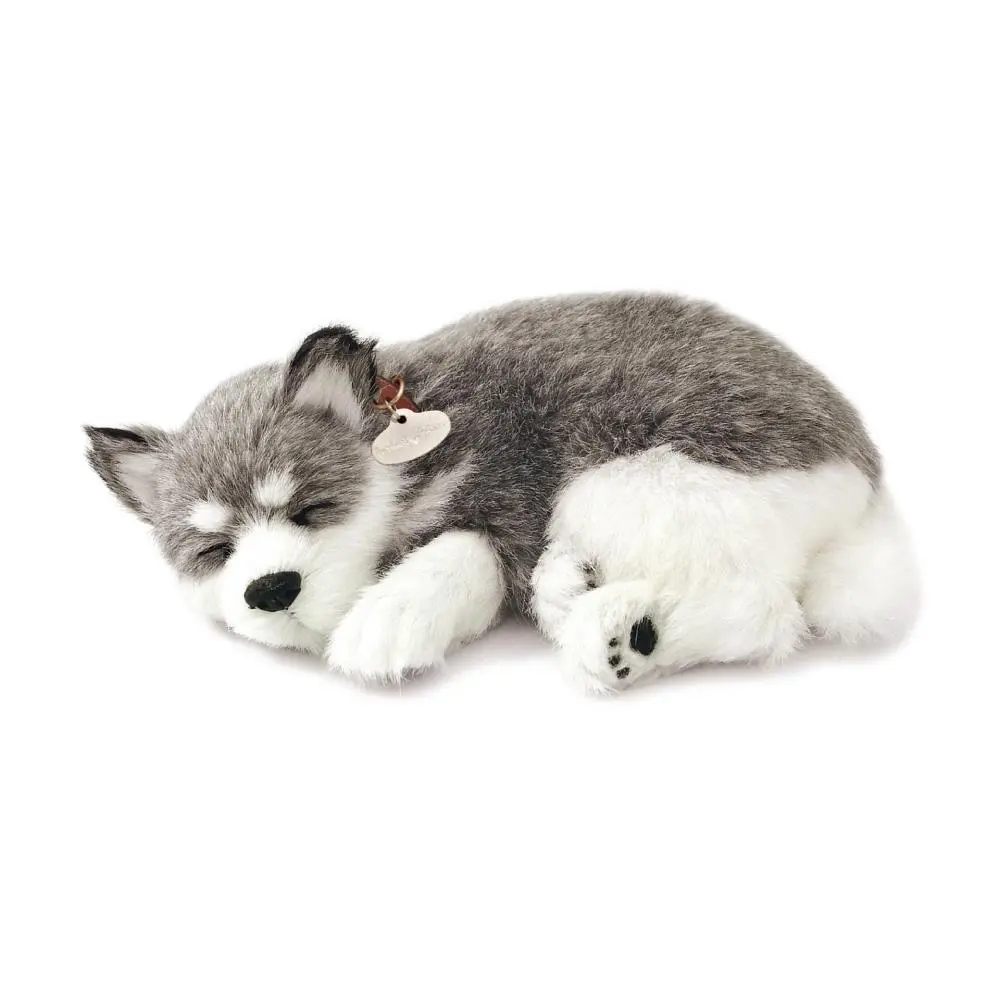 Alaska Husky (26 cm) - Perfect Petz