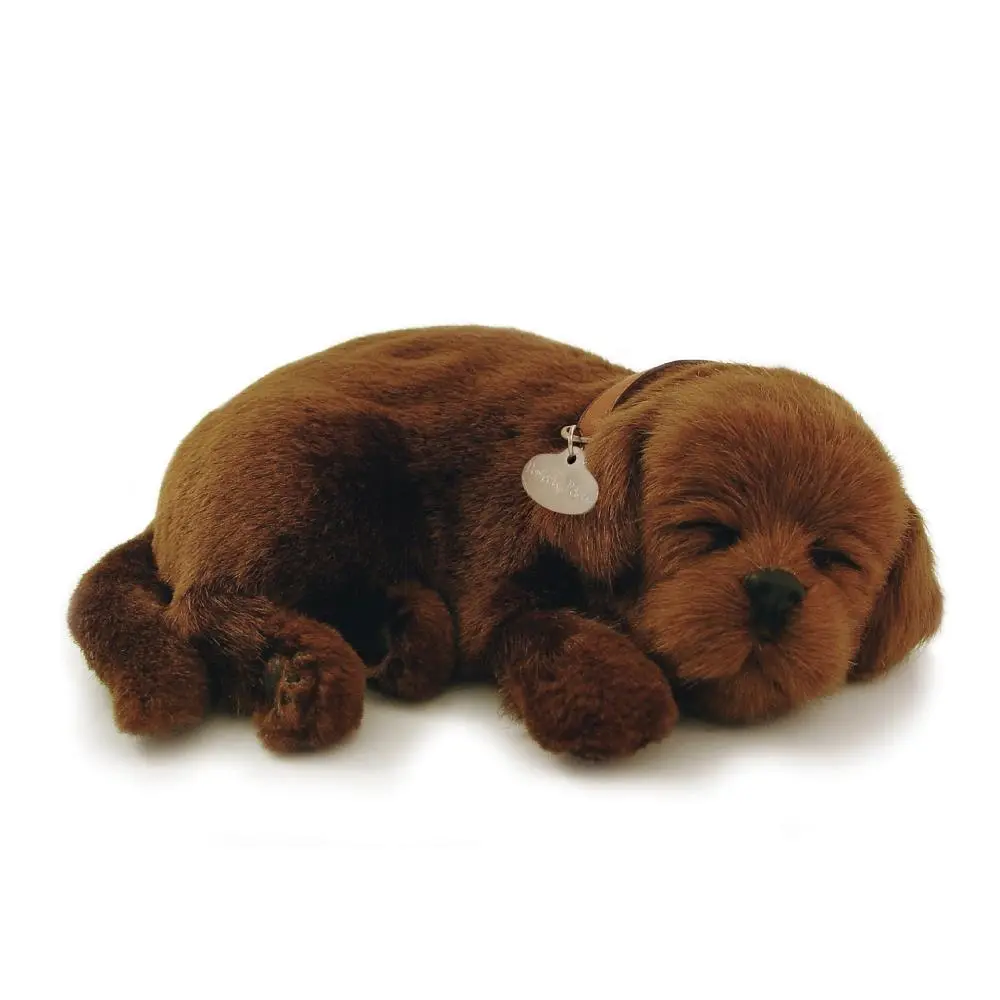 Labrador Chocolate (26 cm) - Perfect Petz