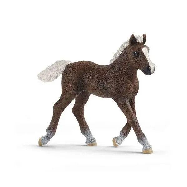 Potro Schleich Floresta Negra