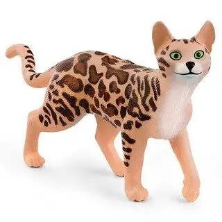Gato Schleich de Bengala