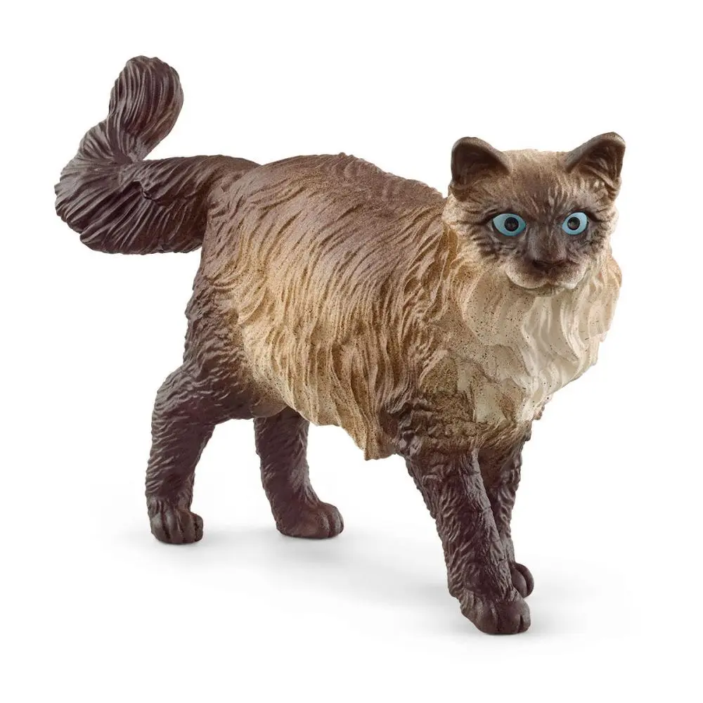 Gato Ragdoll - Schleich