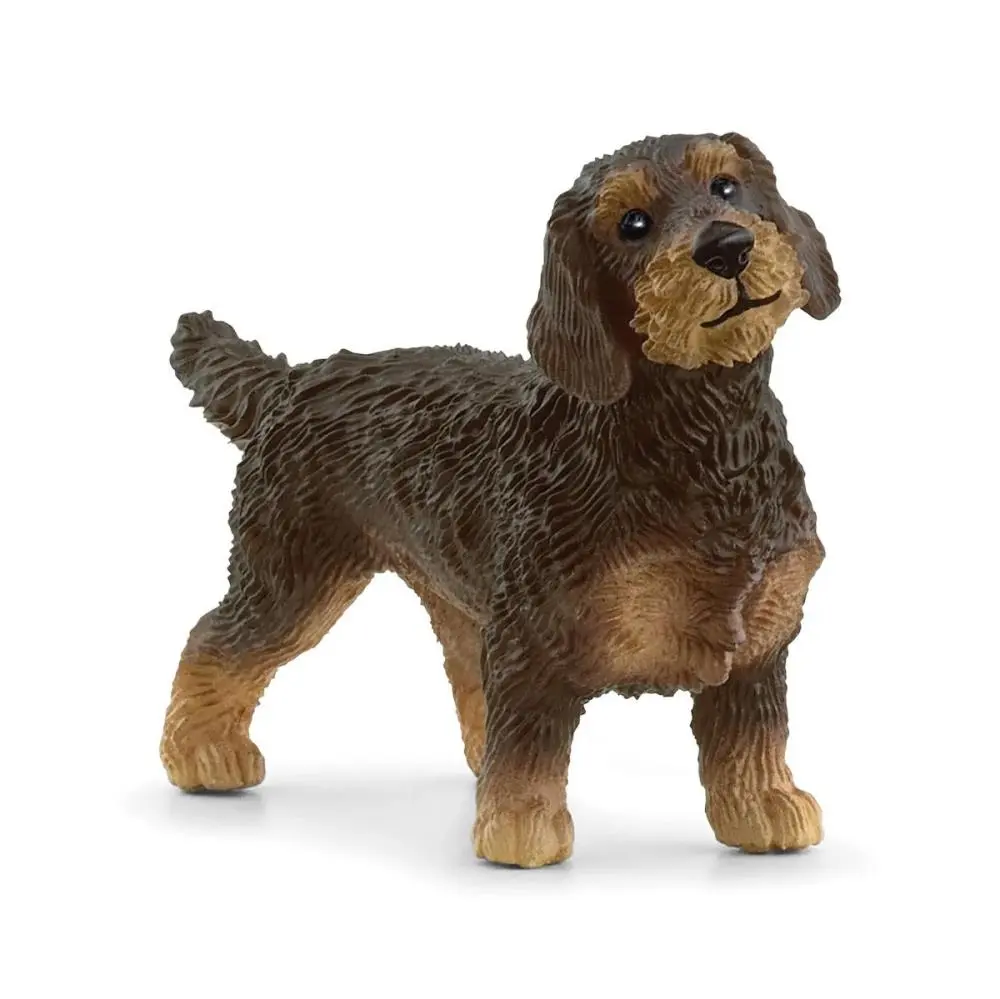 Cão Dachshund de Pelo Cerdoso - Schleich
