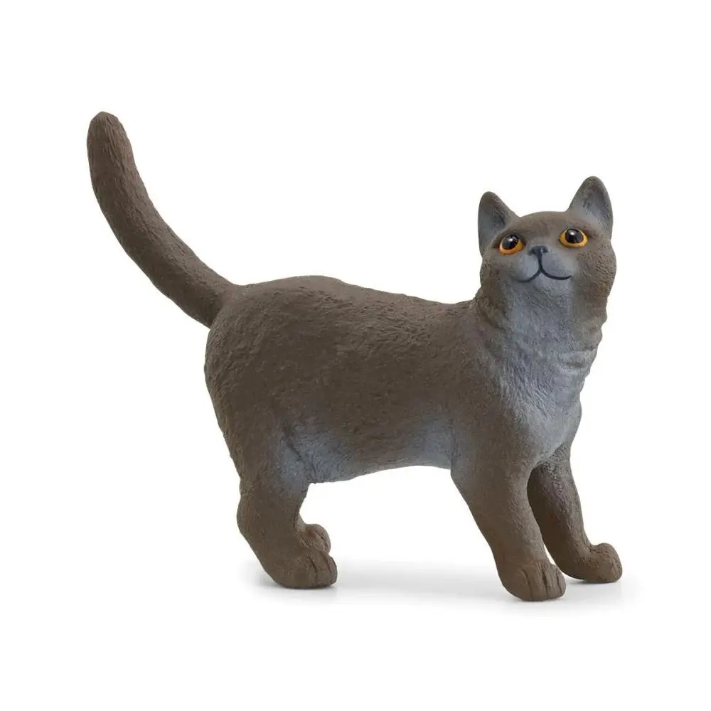 Gato British de Pelo Curto - Schleich