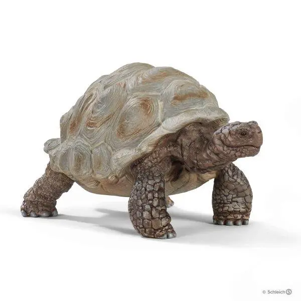 Tartaruga Schleich Terrestre Gigante