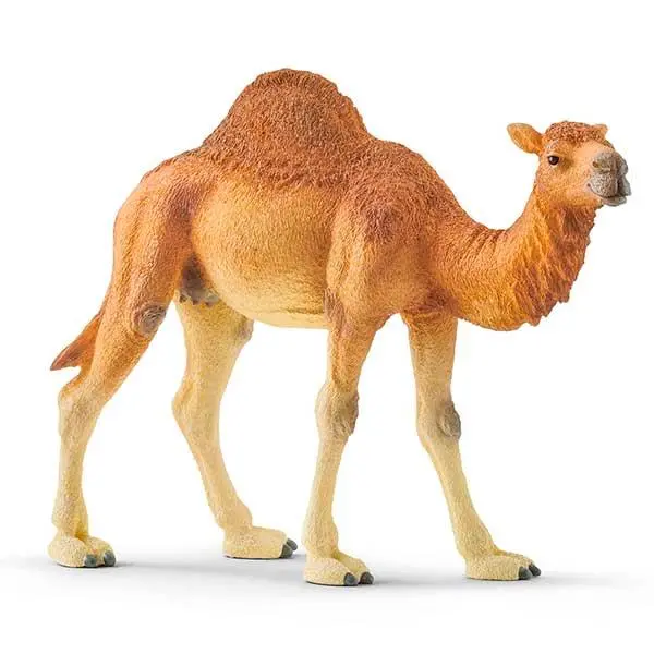 Schleich - Wild Life - Dromedário