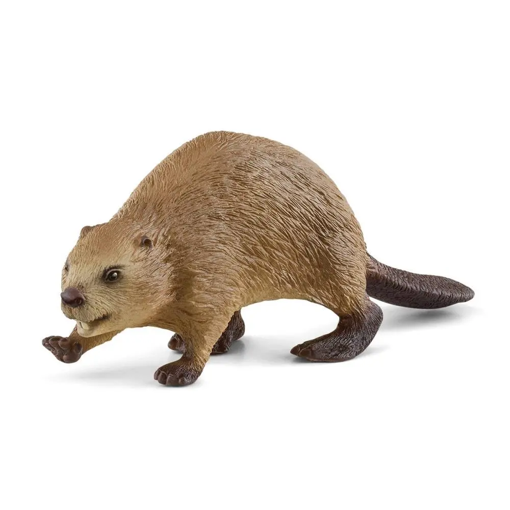 Castor - Schleich
