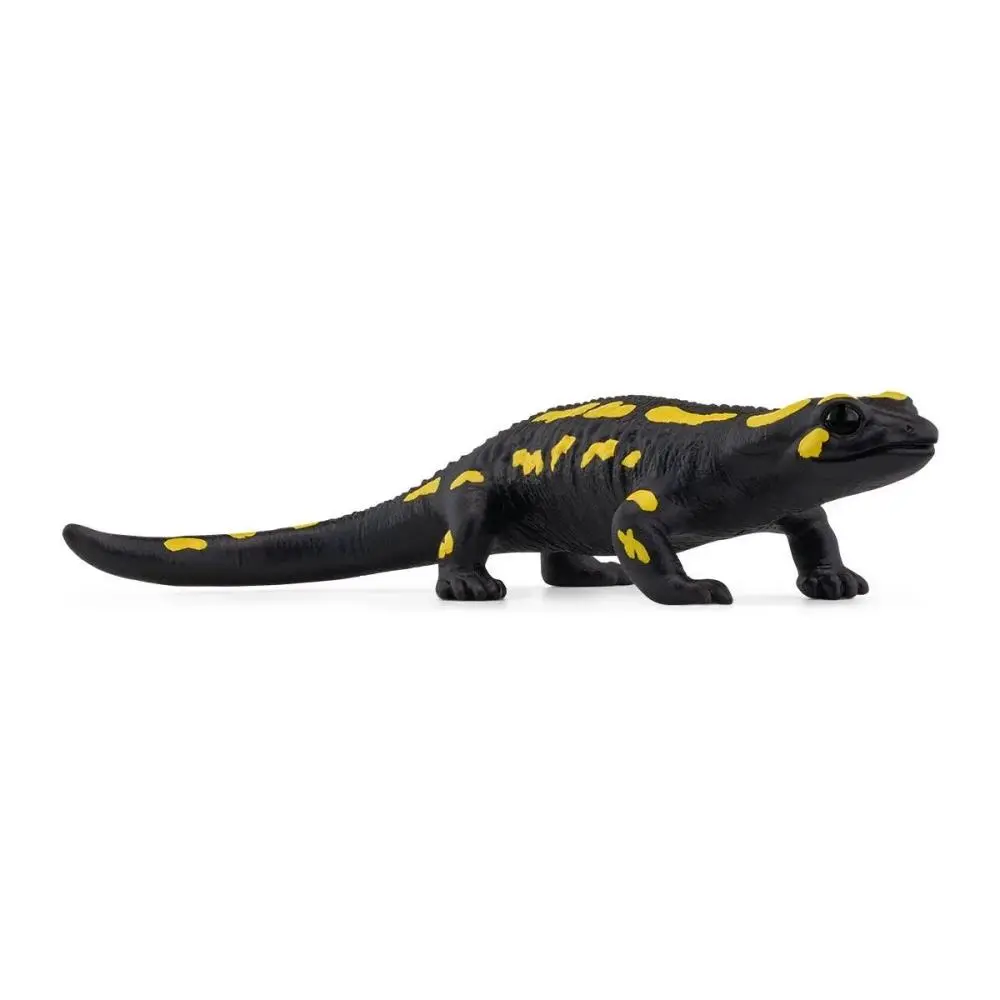 Schleich - Wild Life - Salamandra