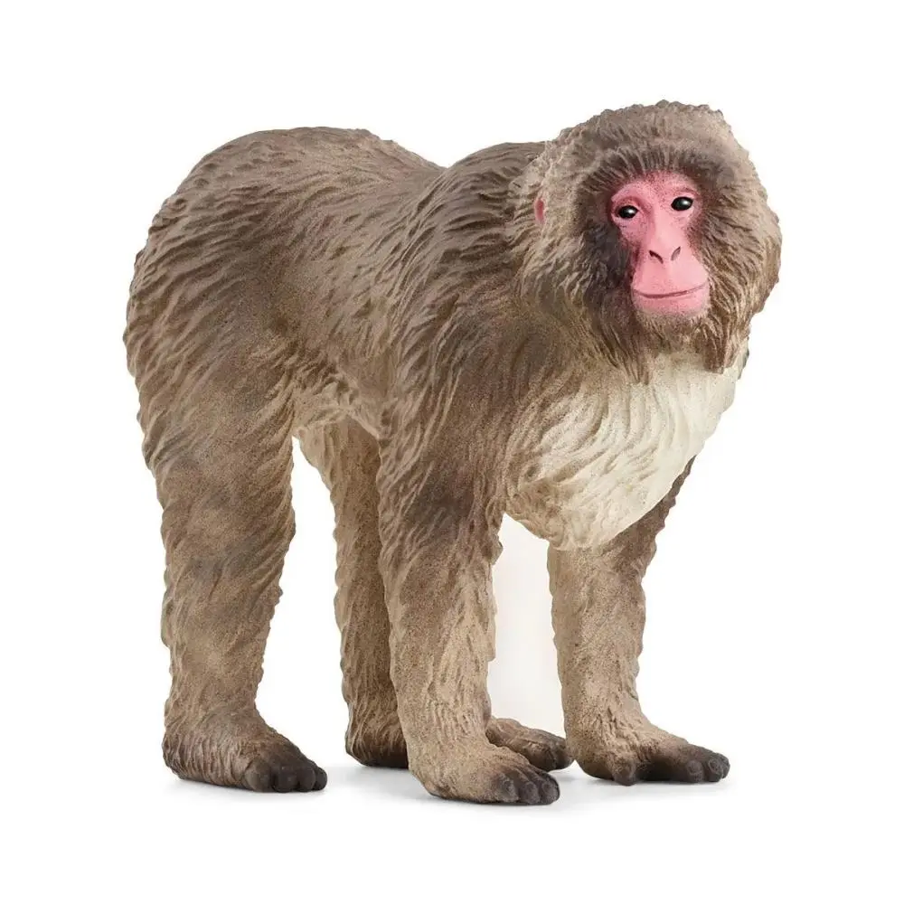 Macaco Japonês - Schleich