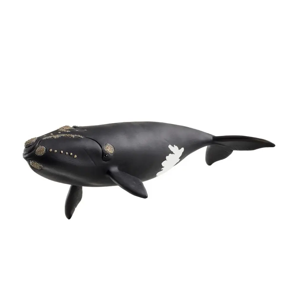 Baleia do Atlântico Norte - Schleich